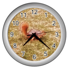 Squirrel Wall Clock (silver) by Riverwoman