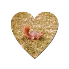 Squirrel Heart Magnet by Riverwoman