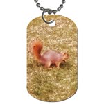 Squirrel Dog Tag (One Side) Front