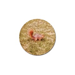 Squirrel Golf Ball Marker (10 Pack) by Riverwoman