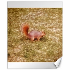 Squirrel Canvas 16  X 20  by Riverwoman