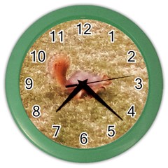 Squirrel Color Wall Clock by Riverwoman