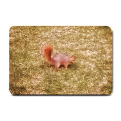 Squirrel Small Doormat 