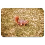 Squirrel Large Doormat  30 x20  Door Mat