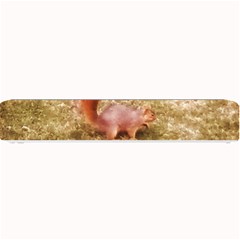 Squirrel Small Bar Mats