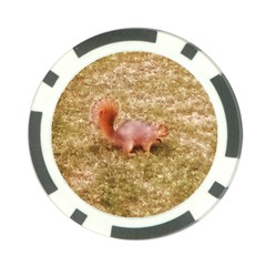 Squirrel Poker Chip Card Guard