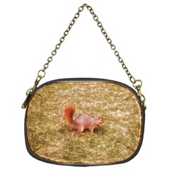 Squirrel Chain Purse (one Side) by Riverwoman