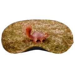 Squirrel Sleeping Mask by Riverwoman