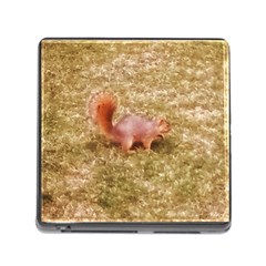 Squirrel Memory Card Reader (square 5 Slot) by Riverwoman