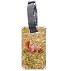 Squirrel Luggage Tag (one Side) by Riverwoman