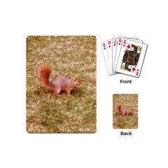 Squirrel Playing Cards (mini) by Riverwoman