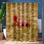 Squirrel Shower Curtain 60  x 72  (Medium)  60 x72  Curtain