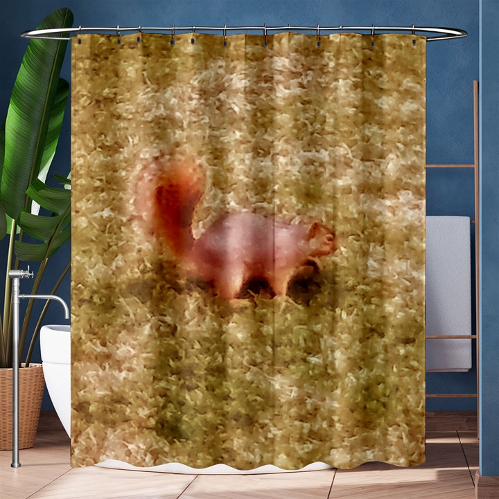 Squirrel Shower Curtain 60  x 72  (Medium) 