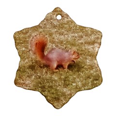 Squirrel Ornament (snowflake)