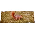 Squirrel Body Pillow Case (Dakimakura) Body Pillow Case