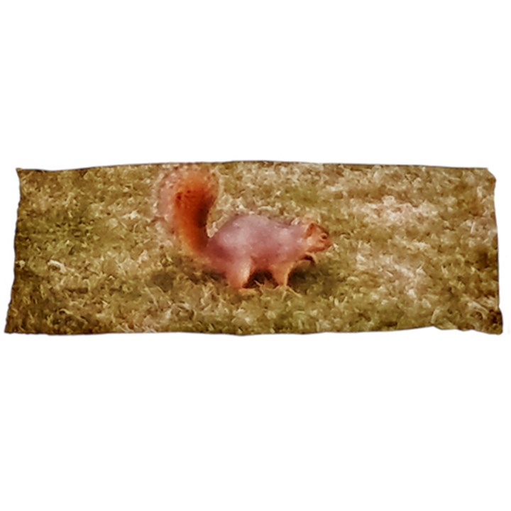 Squirrel Body Pillow Case (Dakimakura)