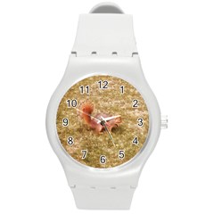 Squirrel Round Plastic Sport Watch (m) by Riverwoman