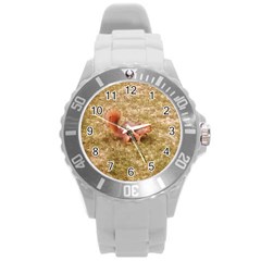 Squirrel Round Plastic Sport Watch (l) by Riverwoman