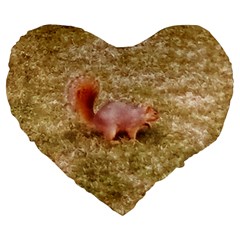 Squirrel Large 19  Premium Heart Shape Cushions