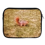 Squirrel Apple iPad 2/3/4 Zipper Cases Front