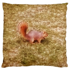 Squirrel Standard Flano Cushion Case (one Side) by Riverwoman