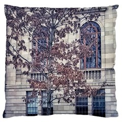 Bowling Green State University Large Flano Cushion Case (two Sides) by Riverwoman