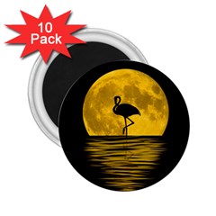 Moon Reflection Flamenco Animal 2 25  Magnets (10 Pack)  by HermanTelo