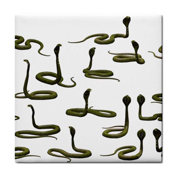 Snake Cobra Reptile Poisonous Tile Coasters