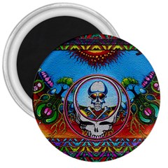 Grateful Dead Wallpapers 3  Magnets by Sapixe