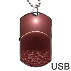 Alien Planet Exoplanet Ocean Dog Tag Usb Flash (two Sides) by HermanTelo