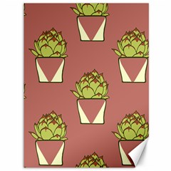 Cactus Pattern Background Texture Canvas 36  X 48 