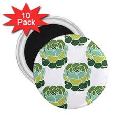 Cactus Pattern 2.25  Magnets (10 pack) 