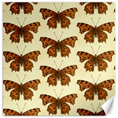 Butterflies Insects Pattern Canvas 12  X 12 