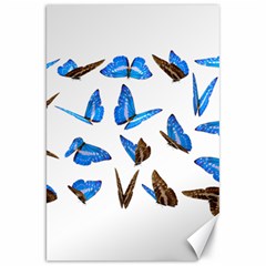 Butterfly Unique Background Canvas 20  X 30 