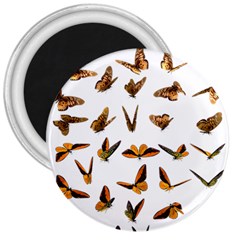 Butterflies Insect Swarm 3  Magnets by HermanTelo