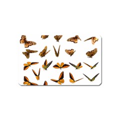 Butterflies Insect Swarm Magnet (name Card)