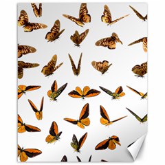 Butterflies Insect Swarm Canvas 16  X 20 