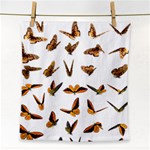 Butterflies Insect Swarm Face Towel Front