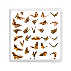 Butterflies Insect Swarm Memory Card Reader (square)