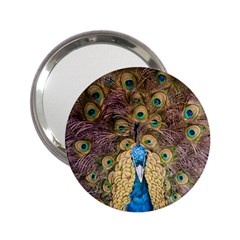 Bird Peacock Feather 2 25  Handbag Mirrors by HermanTelo