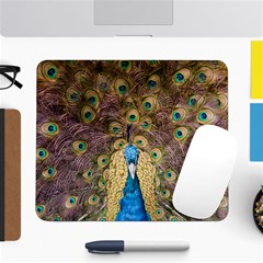 Bird Peacock Feather Large Mousepads by HermanTelo