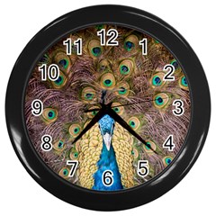 Bird Peacock Feather Wall Clock (black) by HermanTelo