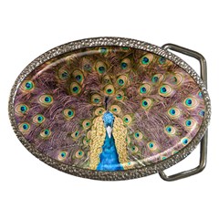 Bird Peacock Feather Belt Buckles