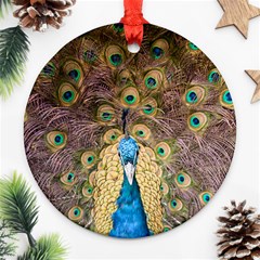 Bird Peacock Feather Round Ornament (two Sides)