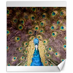 Bird Peacock Feather Canvas 20  X 24  by HermanTelo