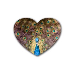 Bird Peacock Feather Heart Coaster (4 Pack) 