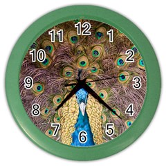 Bird Peacock Feather Color Wall Clock by HermanTelo