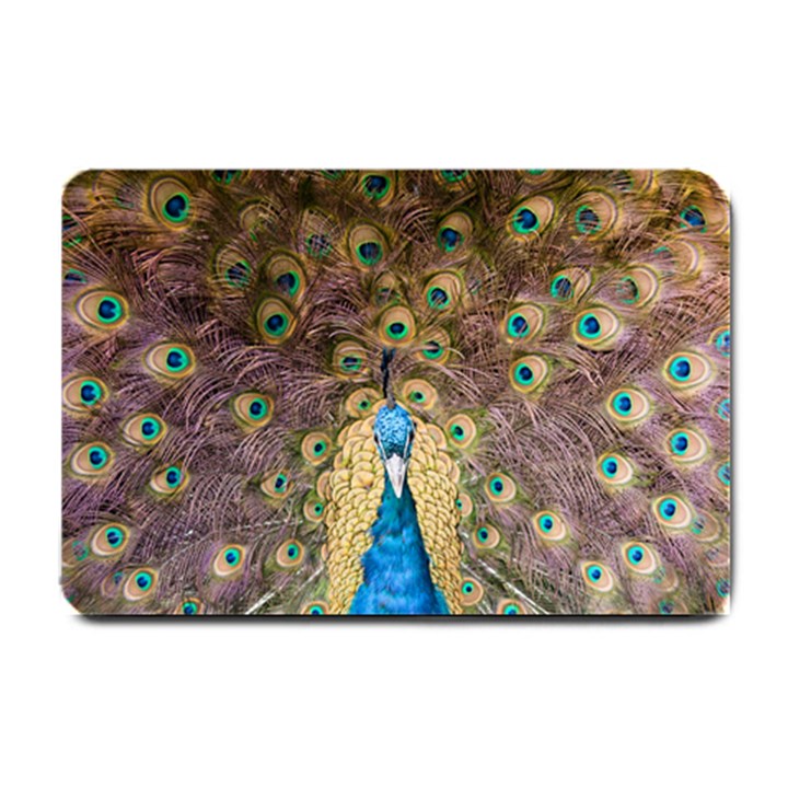 Bird Peacock Feather Small Doormat 