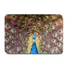 Bird Peacock Feather Plate Mats