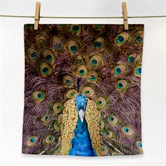 Bird Peacock Feather Face Towel